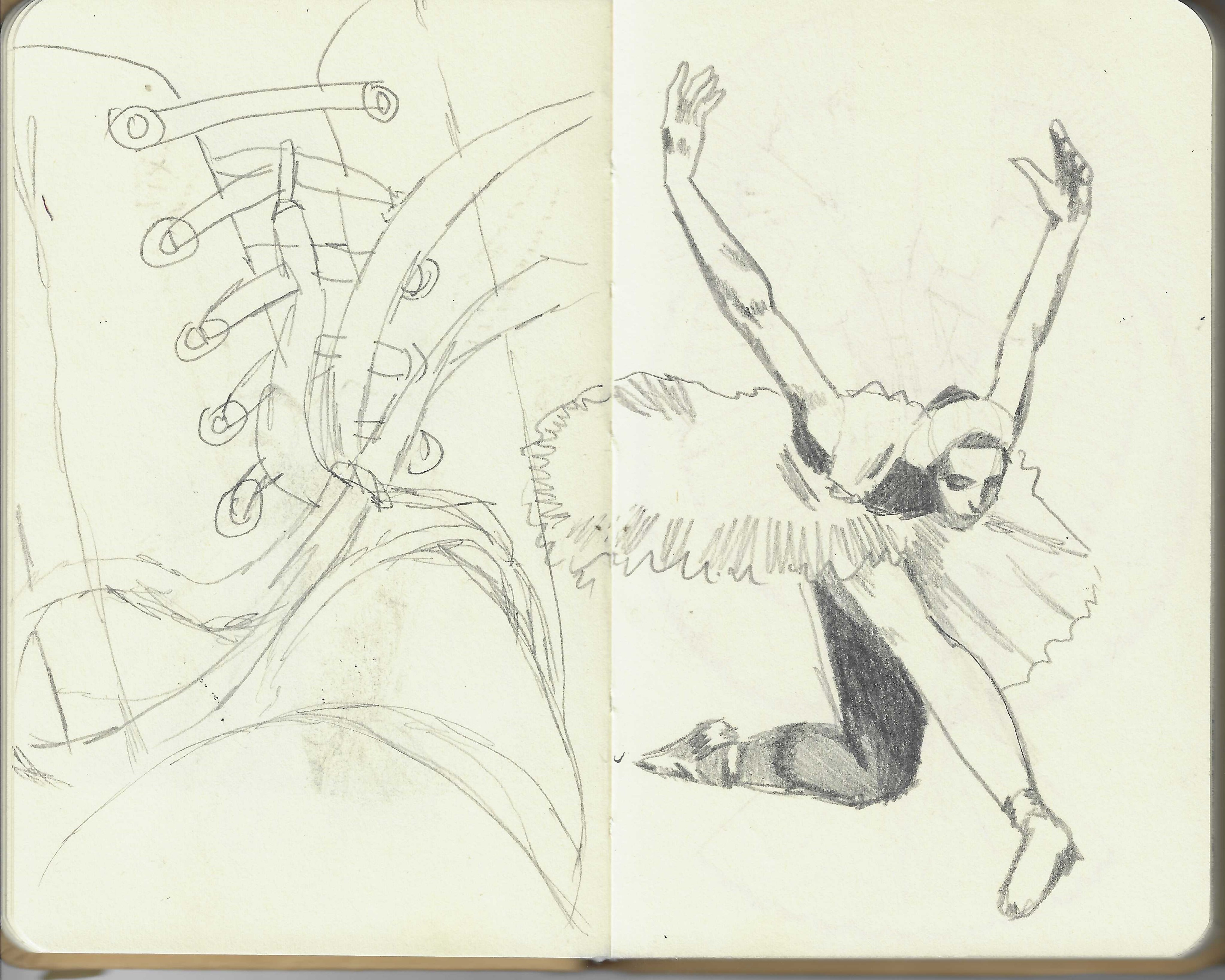 A drawing of a laced shoe and a ballerina